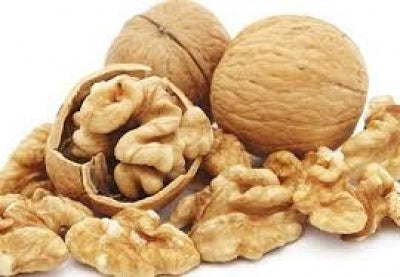 Premium Quality Akhrot (Walnuts) – Fresh & Organic