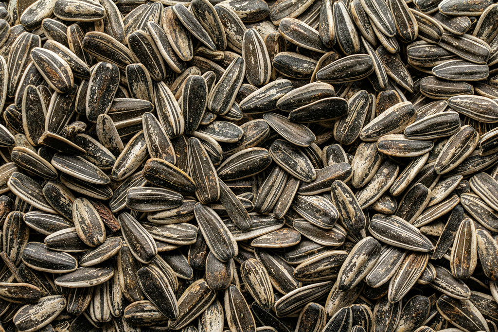 Premium Sunflower Seeds (Suraj Mukhi ke Beej) – Healthy & Crunchy Snack